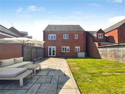 Picture 24